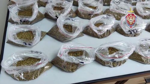 Скриншот кадра видео УФСБ по Иркутской области